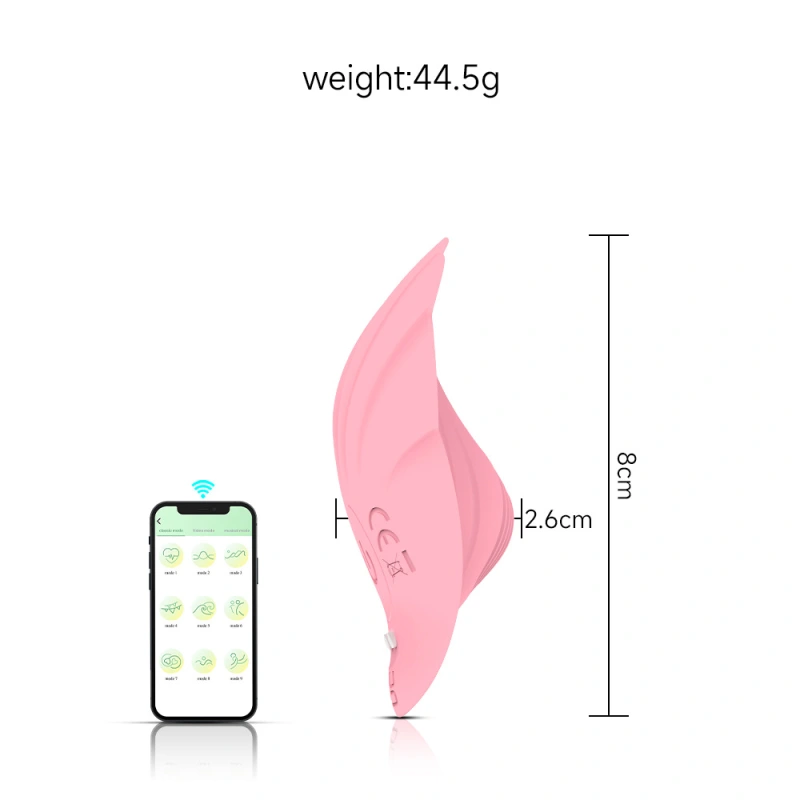 Wearable Panties Vibrator Massager G-spot Dildo Clit Sex Toys For Women Remote