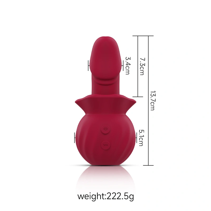 Oral Tongue Licking Massager Powerful Multi Speed Stimulator Rechargeable Women