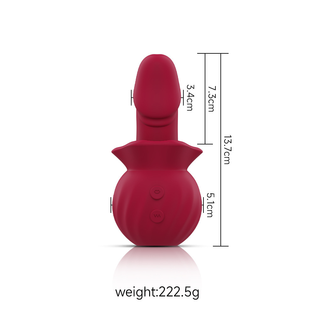 Oral Tongue Licking Massager Powerful Multi Speed Stimulator Rechargeable Women