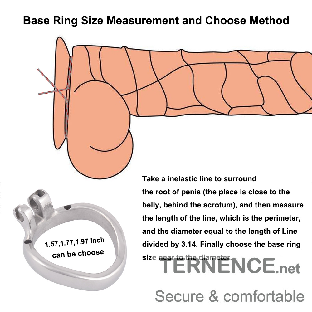 TERNENCE Ergonomic Design 304 Stainless Male Chastity Device Base Ring Spares