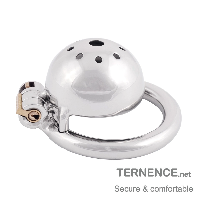 TERNENCE Metal Chastity Device Male Comfortable Virginity Lock Chastity Belt with Small Cage