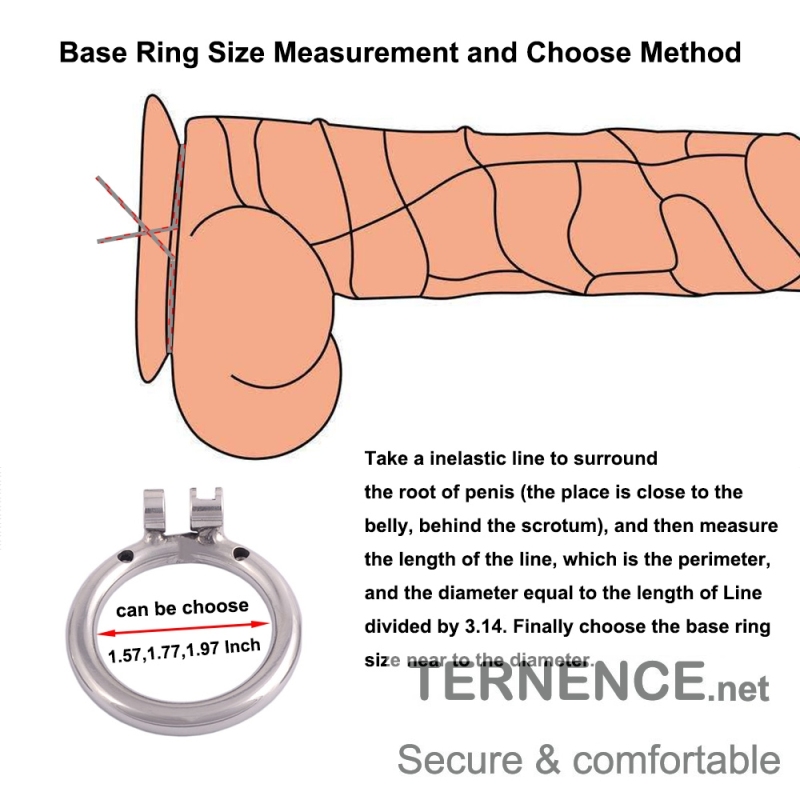 TERNENCE Stainless Chastity Device Base Ring Male Cock Cage Spares