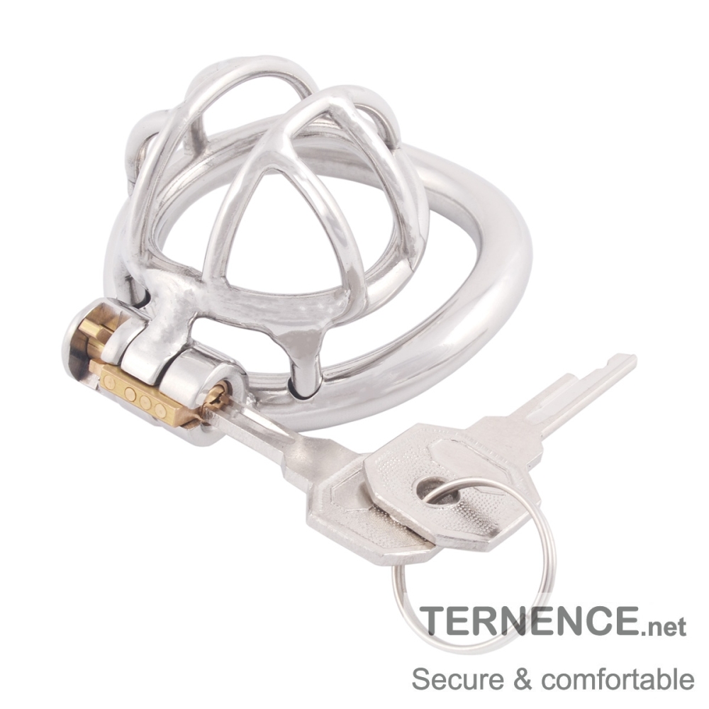 TERNENCE Stainless Steel Small Male Chastity Device Ergonomic Design Cock Cage