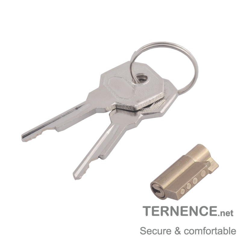 TERNENCE Lock Core Metal Male Chastity Device Stealth Lock Cock Cage Brass Lock Cylinder