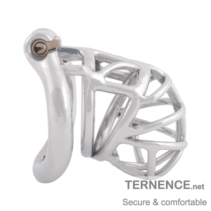 TERNENCE Medical Grade Stainless Steel Chastity Device Ergonomic Design Belt Restraint Men Bondage Fetish