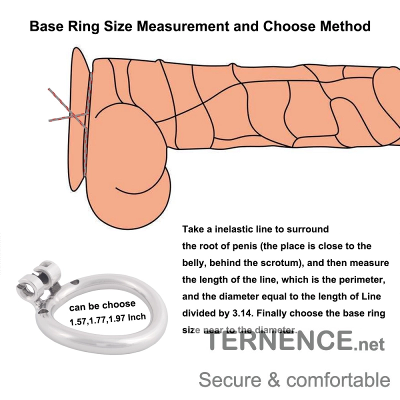 TERNENCE Stainless Steel Small Male Chastity Device Ergonomic Design Cock Cage