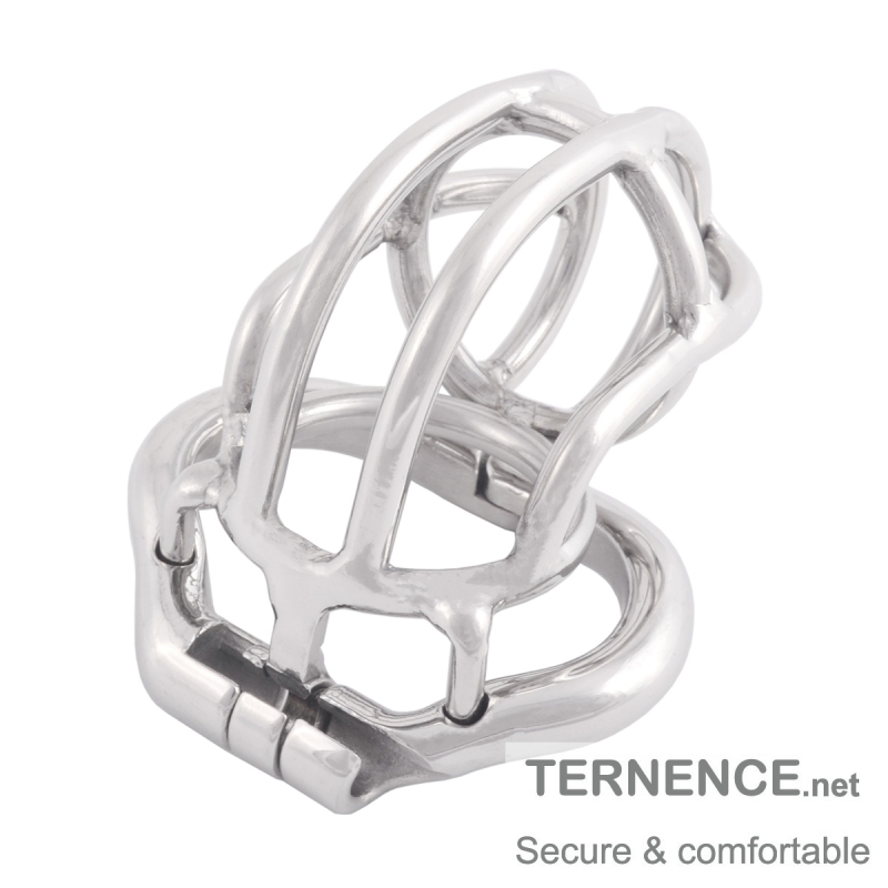 TERNENCE Ergonomic Design Chastity Device 304 Steel Stainless Easy to Wear Male Virginity Lock Chastity Belt