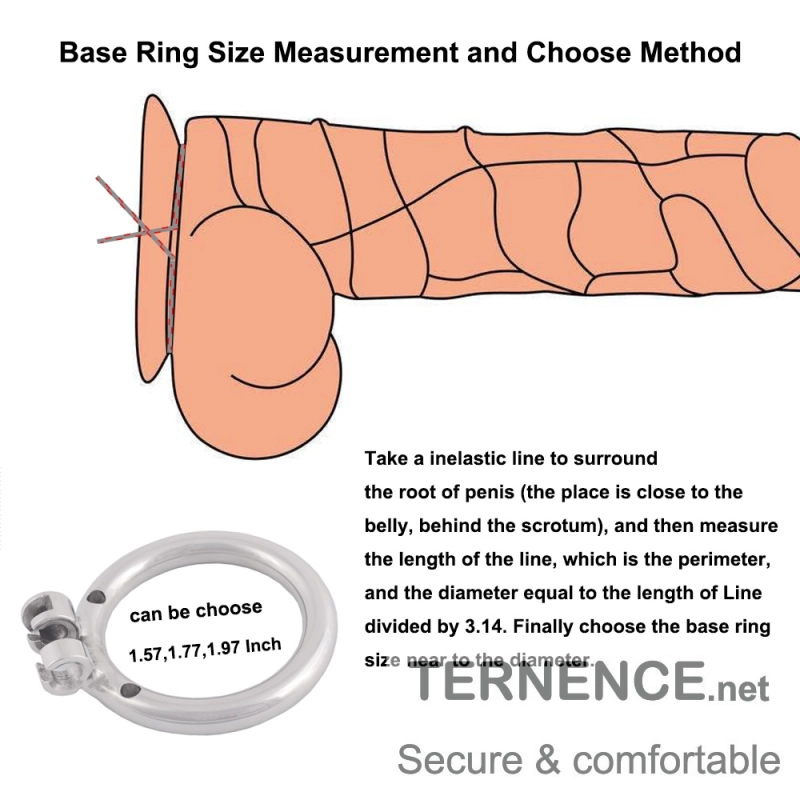 TERNENCE Penis Ring Virginity Lock Stainless Steel Chastity Belt Adult Game Sex Toy