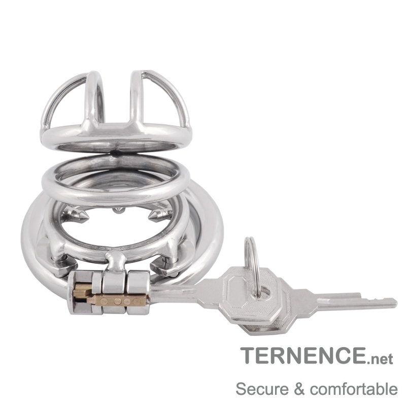 TERNENCE Male Chastity Cock Cage Adult Game Sex Toy with Anti-Off Ring