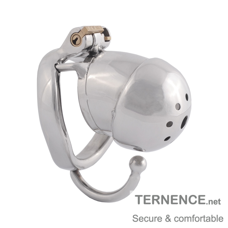 TERNENCE Male Chastity Cage Stealth Lock for Adults Solitary Extreme Confinement Cage