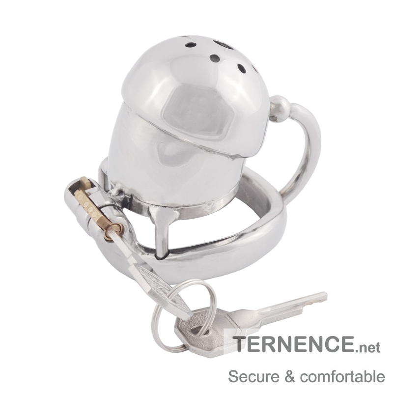TERNENCE Male Chastity Cage Stealth Lock for Adults Solitary Extreme Confinement Cage
