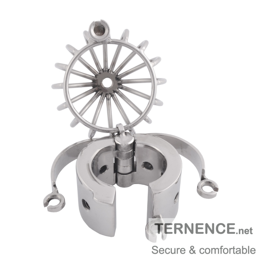 TERNENCE Male Chastity Device Stainless Steel Cage Cock Ring Ball Stretchers