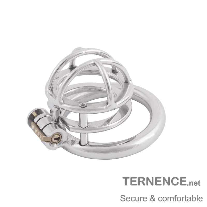 TERNENCE Male Chastity Device Stealth Lock for Adults Solitary Extreme Confinement Cage