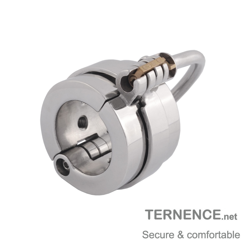 TERNENCE Cage Cock Ring Ball Stretchers Stainless Steel SM Exercise Sex Toys