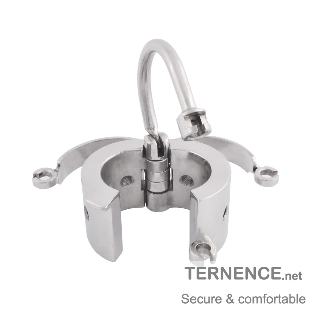 TERNENCE Cage Cock Ring Ball Stretchers Stainless Steel SM Exercise Sex Toys