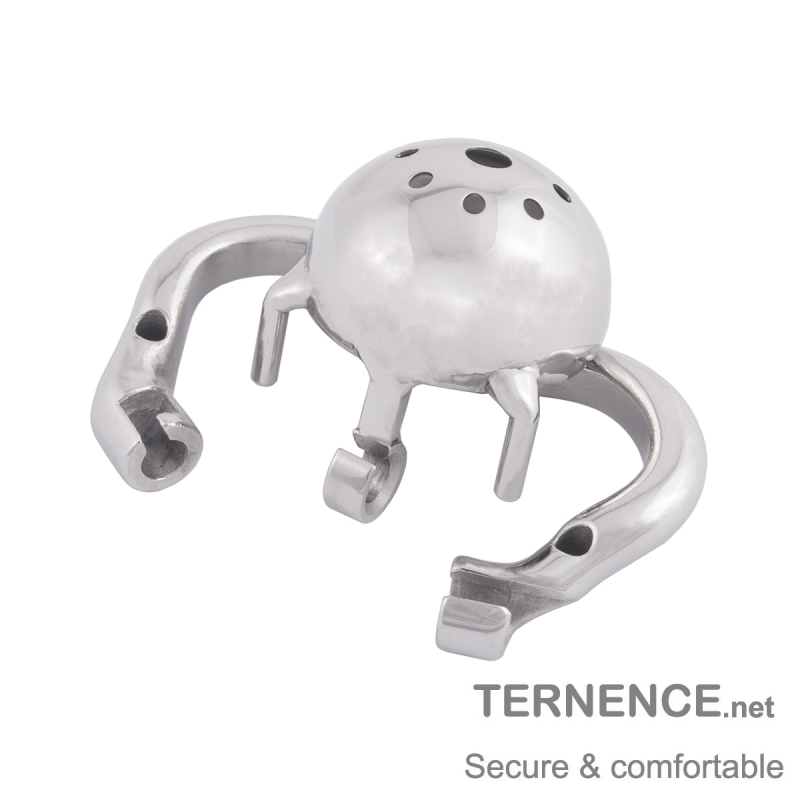 TERNENCE Small Male Chastity Locked Hypoallergenic Stainless Steel Cock Cage
