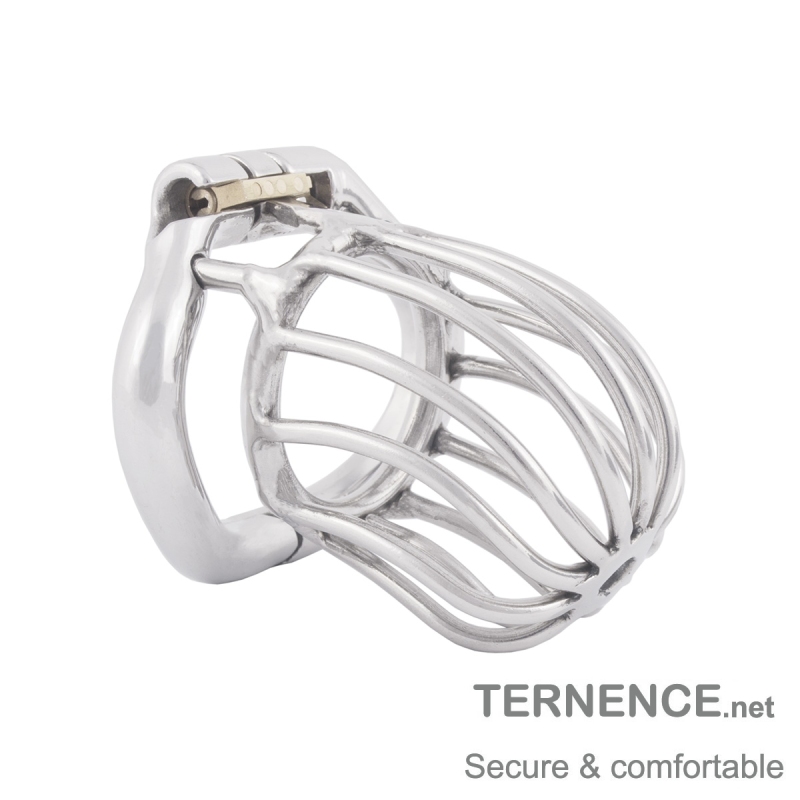 TERNENCE Stainless Steel Chastity Locked Men's Virginity Lock Belt Short Male Cock Cage