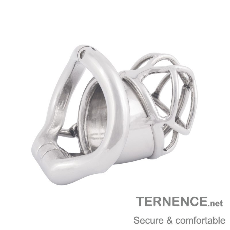 TERNENCE Men Chastity Cage Penis Lock Device with Fetish Erotic Sex Toys