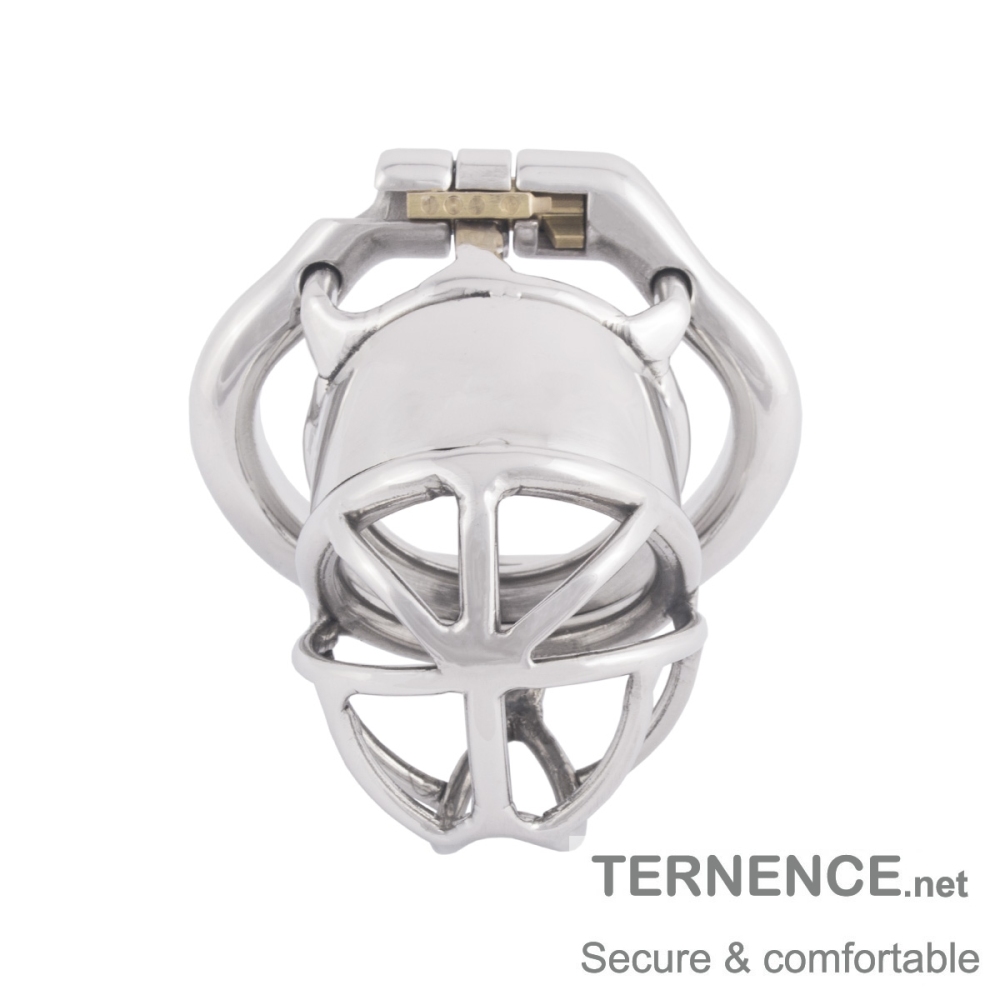TERNENCE Men Chastity Cage Penis Lock Device with Fetish Erotic Sex Toys