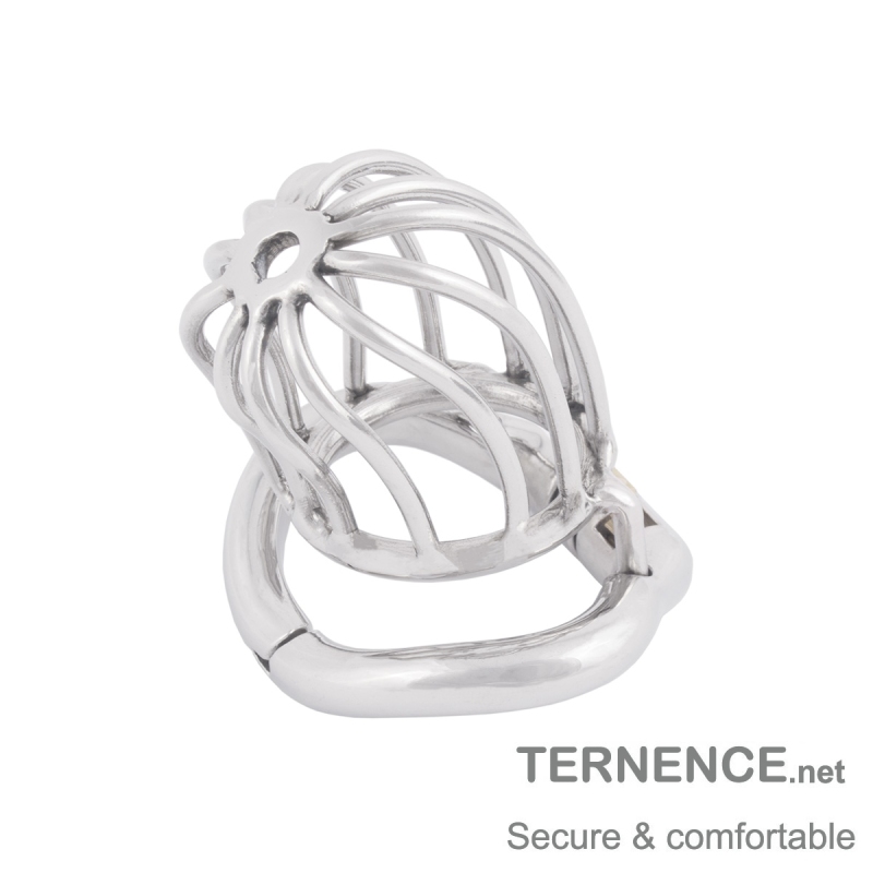 TERNENCE Stainless Steel Chastity Locked Men's Virginity Lock Belt Short Male Cock Cage