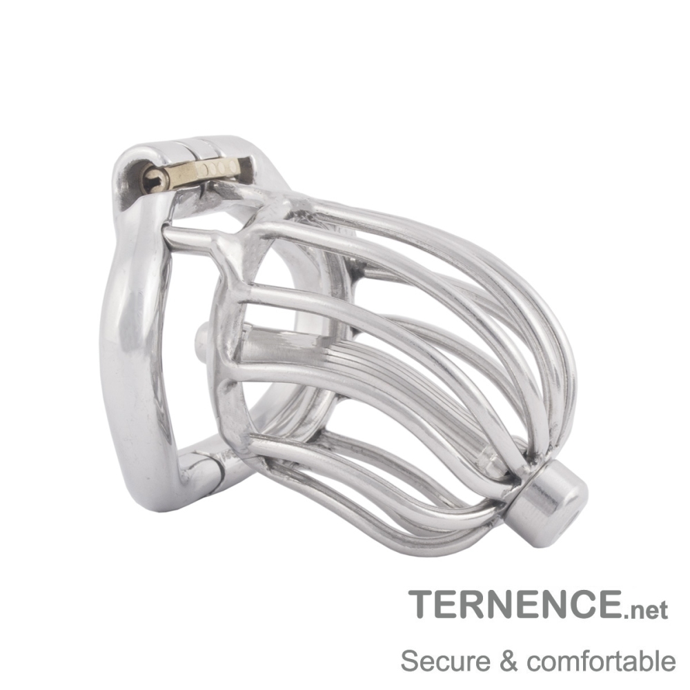 TERNENCE Male Comfortable Chastity Cock Cage SM Penis Exercise Sex Toys with Urethral Tube