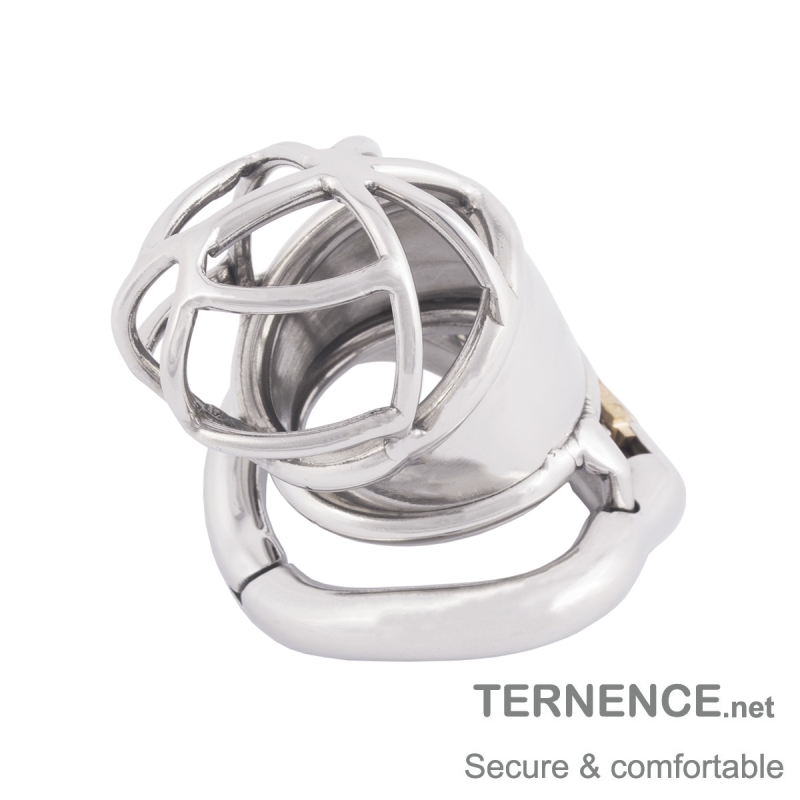 TERNENCE Men Chastity Cage Penis Lock Device with Fetish Erotic Sex Toys