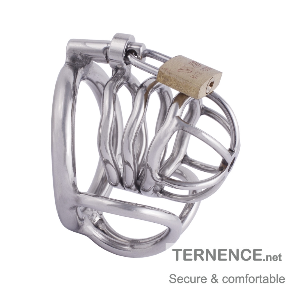 TERNENCE Male Chastity Device Stainless Steel Cock Cage Penis Ring with Padlock for Adult Game Sex Toy