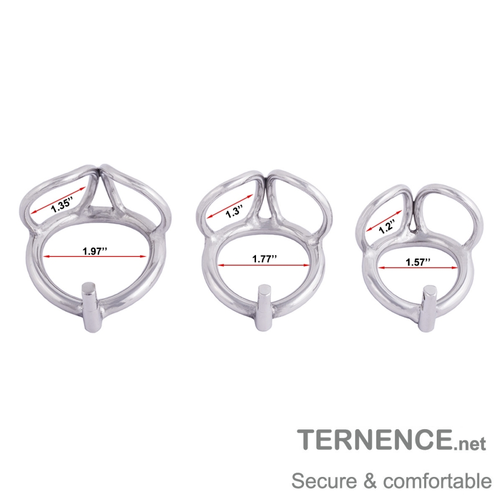 TERNENCE Male Chastity Device Stainless Steel Cock Cage Penis Ring with Padlock for Adult Game Sex Toy