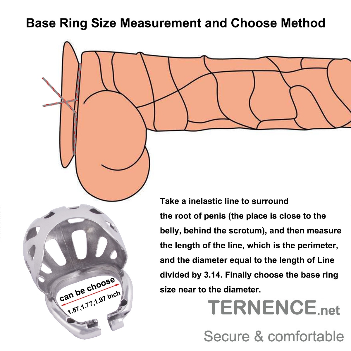 TERNENCE Metal Chastity Cage Device with Ergonomic Design Wrapped Scrotum Ring for Male SM Penis Exercise Sex Toys