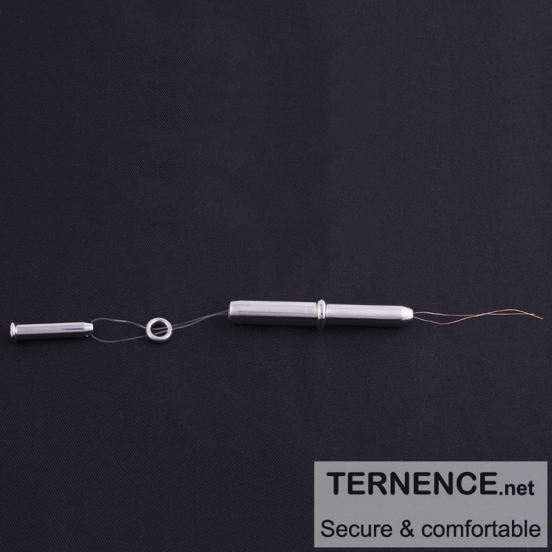 TERNENCE Stainless Steel Catheters Kit Male Sound Dilator Inserts Plug for Men, 8 Sizes Optional