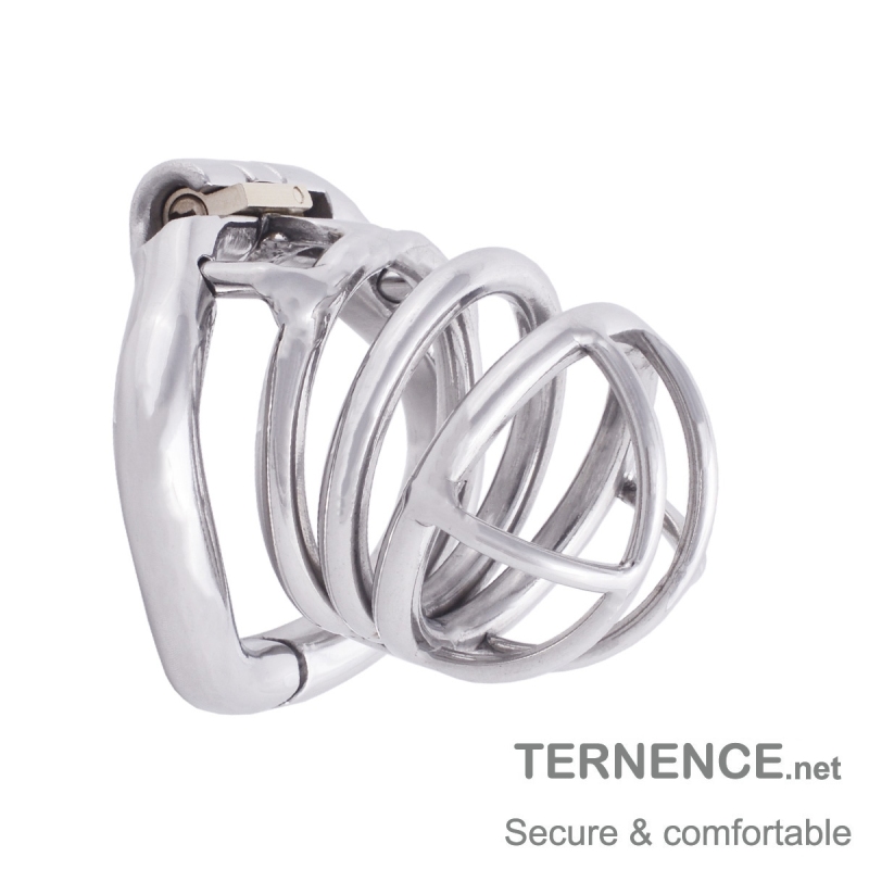 TERNENCE Stainless Steel Male Chastity Device Ergonomic Design Male Adult Game Sex Toy