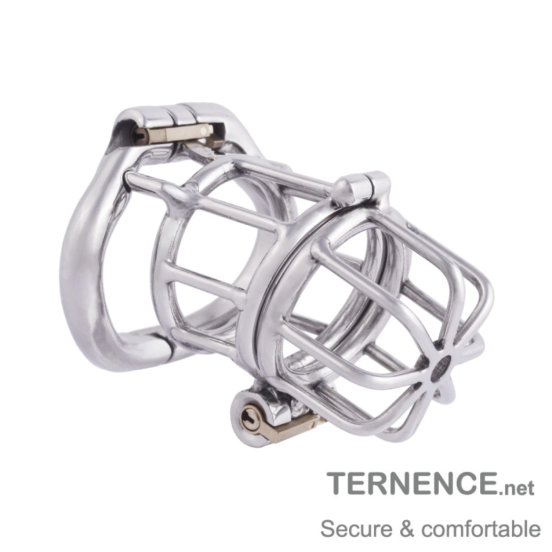 TERNENCE Male Chastities Devices with 2 Built-in Locks Ergonomic Design Man Chastity Belt Adult Game Sex Toy