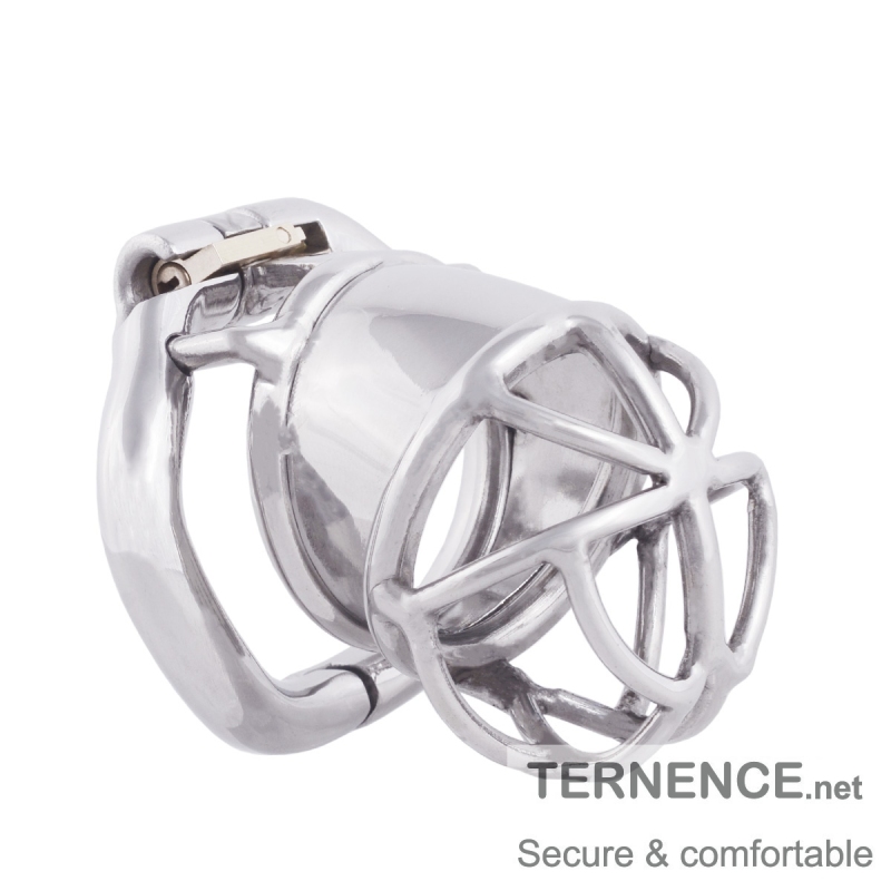 TERNENCE Men Chastity Cage Penis Lock Device with Fetish Erotic Sex Toys