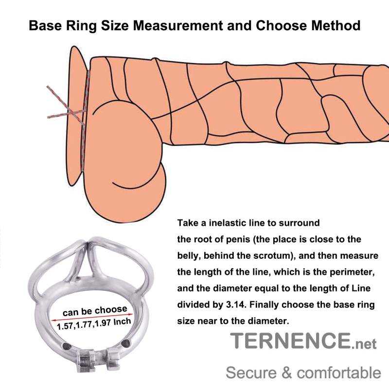 TERNENCE Male Cock Cage Base Ring Ergonomic Design Stainless Steel Chastity Device Closed Ring with Scrotal Splitter