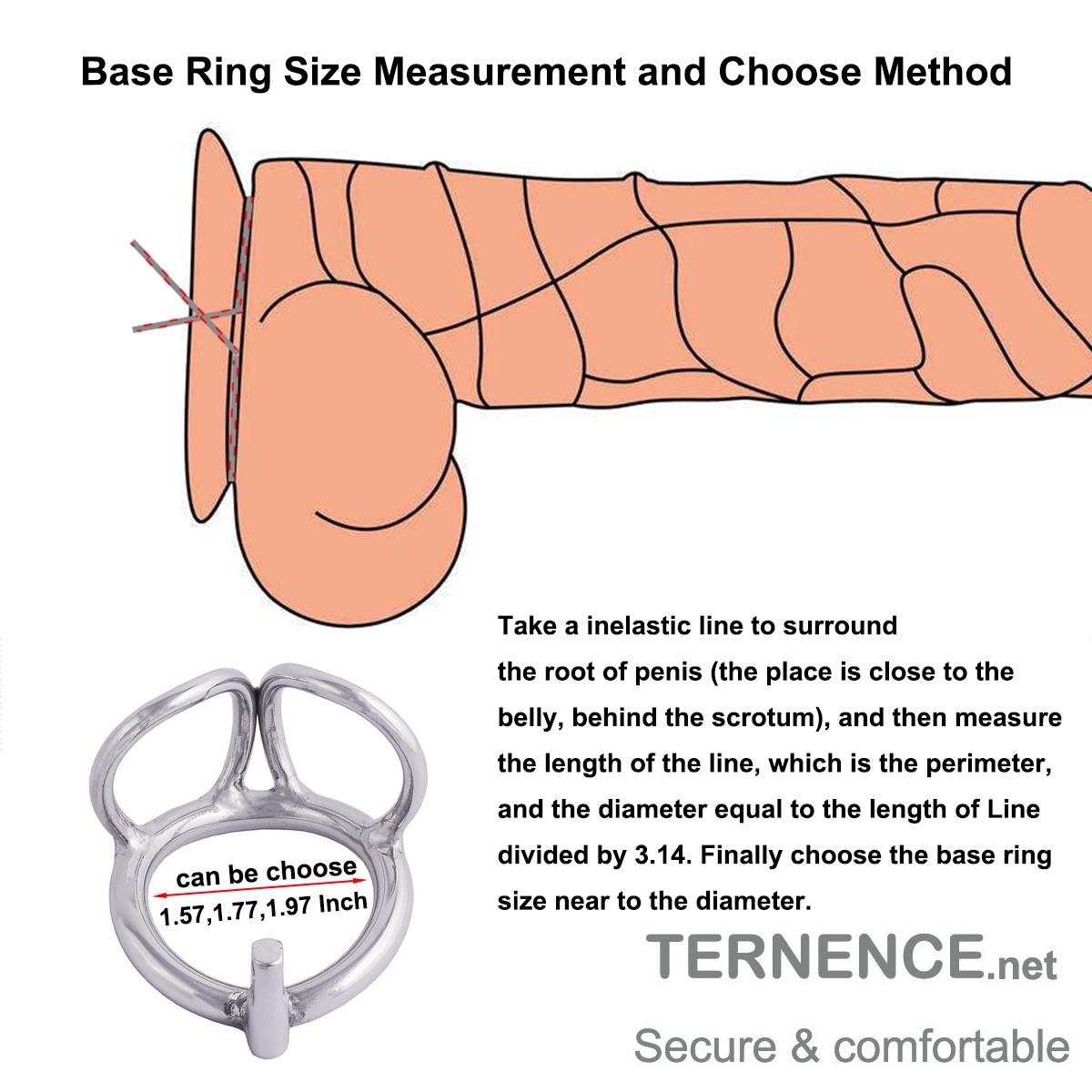 TERNENCE Male Chastity Device Base Ring Ergonomic Design 304 Stainless Steel Cock Cage Closed Ring with Scrotal Splitter