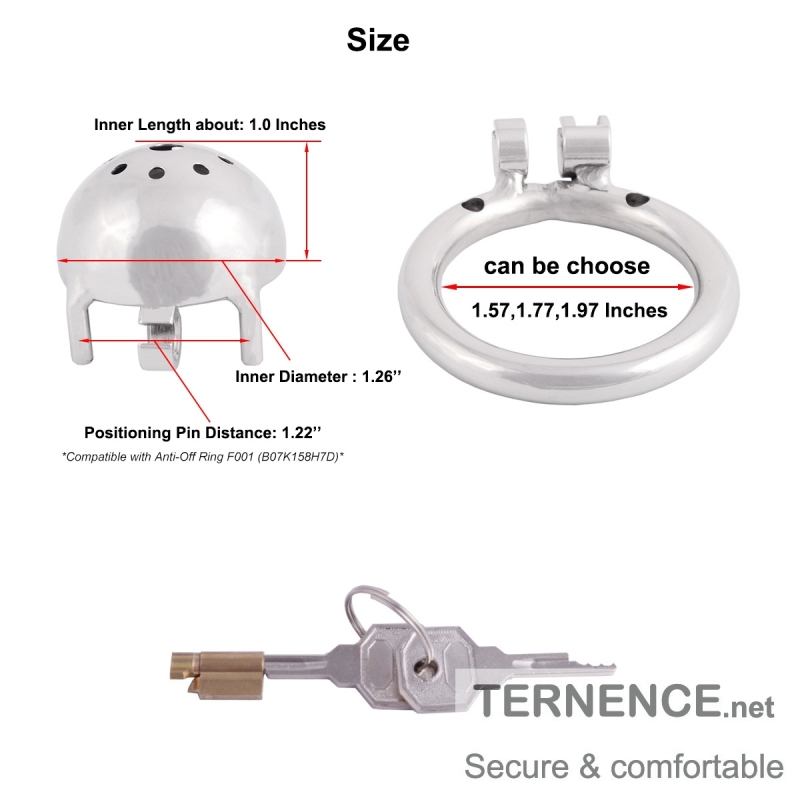 TERNENCE Metal Chastity Device Male Comfortable Virginity Lock Chastity Belt with Small Cage