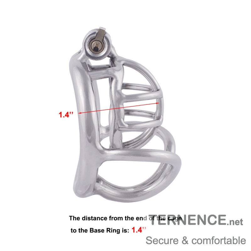 TERNENCE Cock Cage Male Chastity Locked Ergonomic Design Small Cage Sex Toy for Men