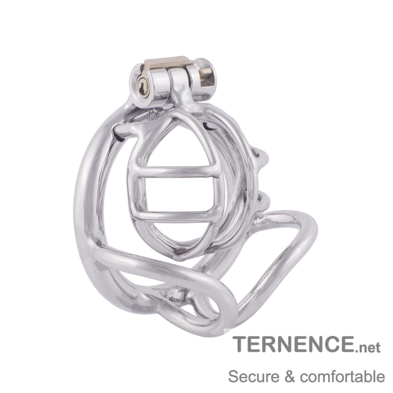 TERNENCE Cock Cage Male Chastity Locked Ergonomic Design Small Cage Sex Toy for Men