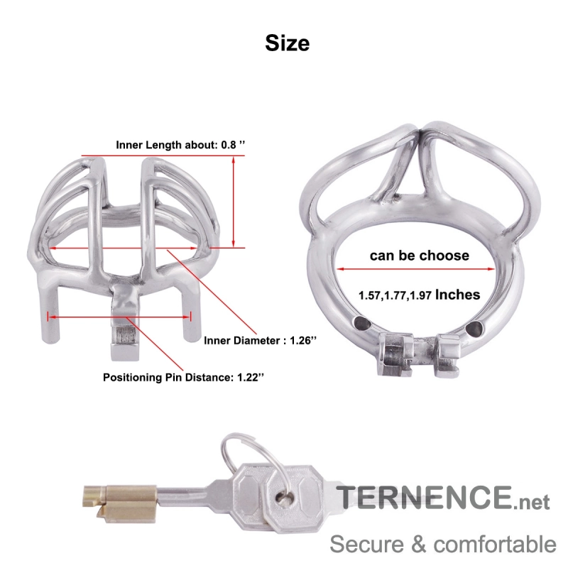 TERNENCE Cock Cage Male Chastity Locked Ergonomic Design Small Cage Sex Toy for Men