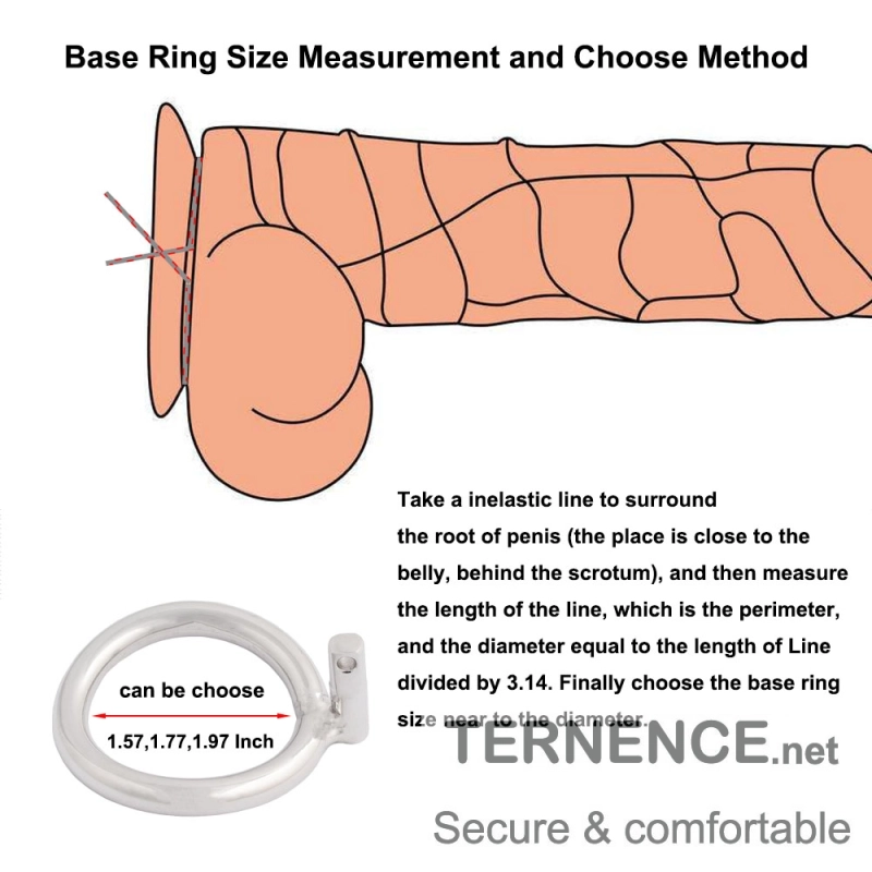 TERNENCE Male Chastity Device Hypoallergenic Stainless Steel Cock Cage Penis Ring Virginity Lock Chastity Belt with Padlock for Adult Game Sex Toy