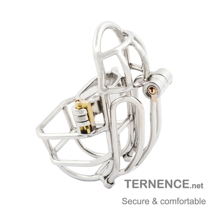 TERNENCE Male Chastity Device Stainless Steel Cock Cage Easy to Wear Male Virginity Lock Chastity Belt with PA Puncture