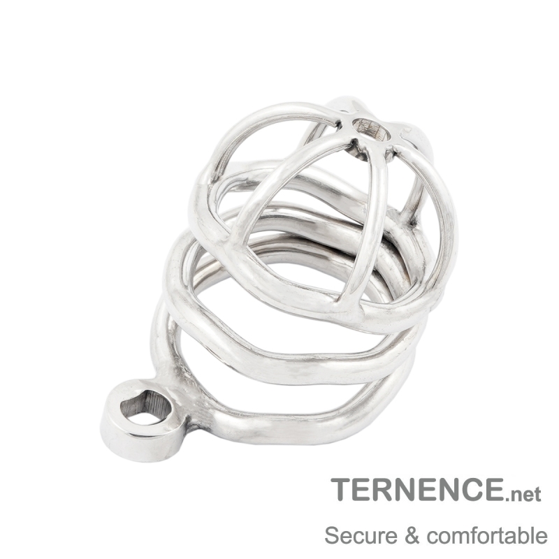 TERNENCE Steel Chastity Cage Male Cock Cage for Closed Ring (only cages do not include rings and lock)