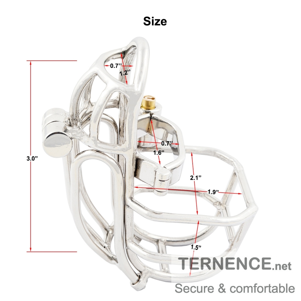 TERNENCE Male Chastity Device Stainless Steel Cock Cage Easy to Wear Male Virginity Lock Chastity Belt with PA Puncture