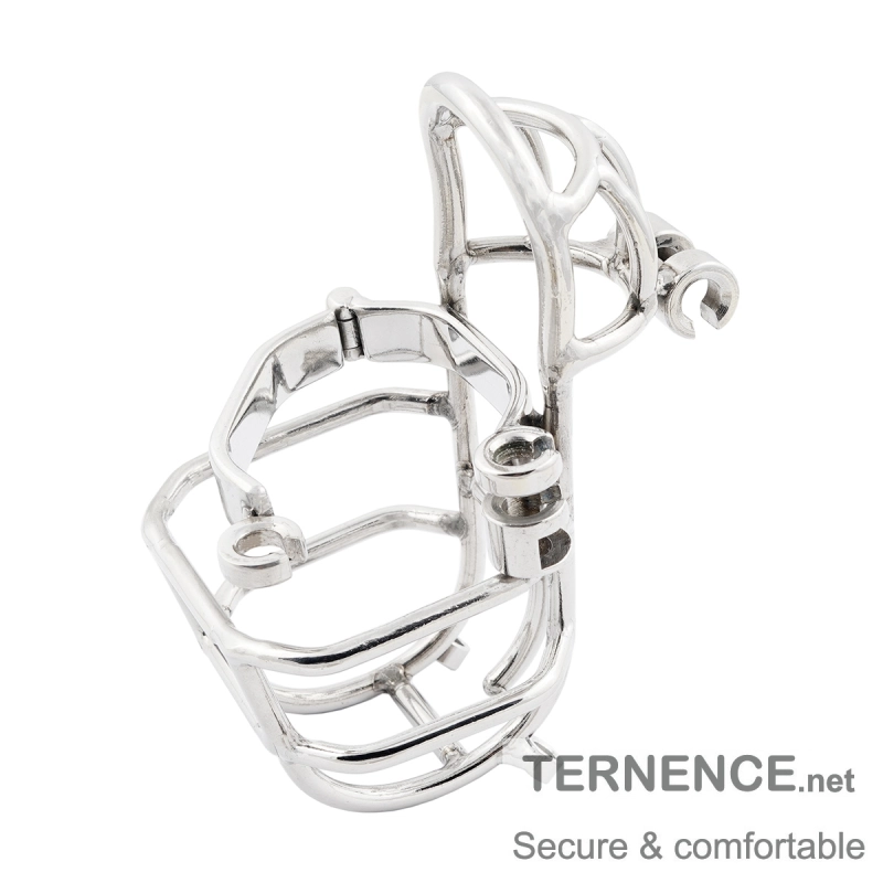 TERNENCE Male Chastity Device Stainless Steel Cock Cage Easy to Wear Male Virginity Lock Chastity Belt with PA Puncture
