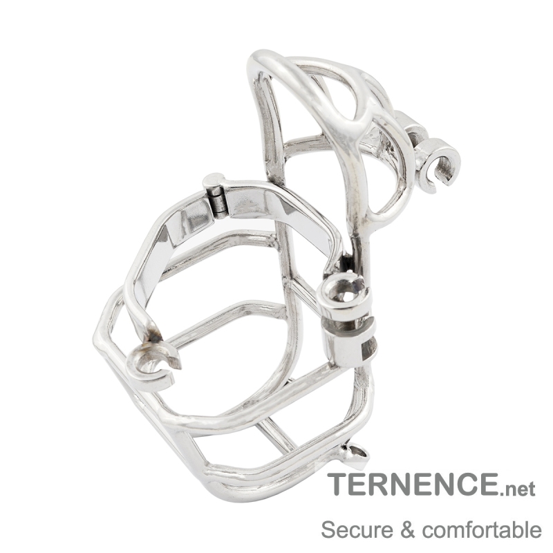 TERNENCE Male Chastity Device Stainless Steel Cock Cage Easy to Wear Male Virginity Lock Chastity Belt