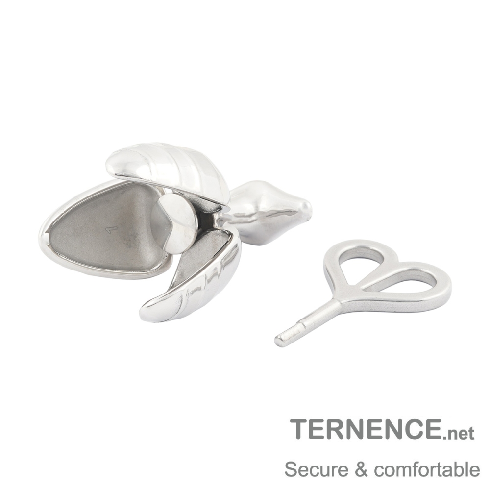 TERNENCE Opening Anal Plug Stainless Steel Heavy Duty Anal Trainer Butt Expander Anus Beads Lock Sex Toys