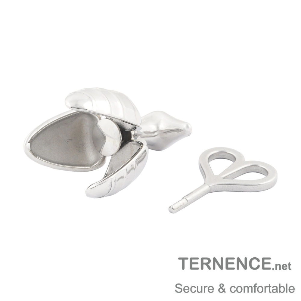 TERNENCE Opening Anal Plug Stainless Steel Heavy Duty Anal Trainer Butt Expander Anus Beads Lock Sex TERNENCE Opening Anal Plug Stainless Steel Heavy Duty Anal Trainer Butt Expander Anus Beads Lock Sex