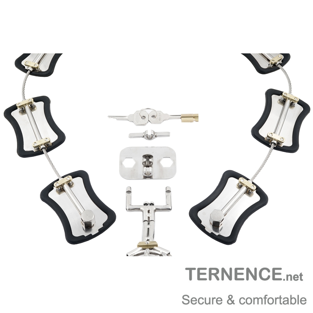 TERNENCE Metal Male Chastity Pants Device Stainless Steel Clip Cage Design Detachable Men's Virginity Lock T-type Chastity Belt with PA Puncture