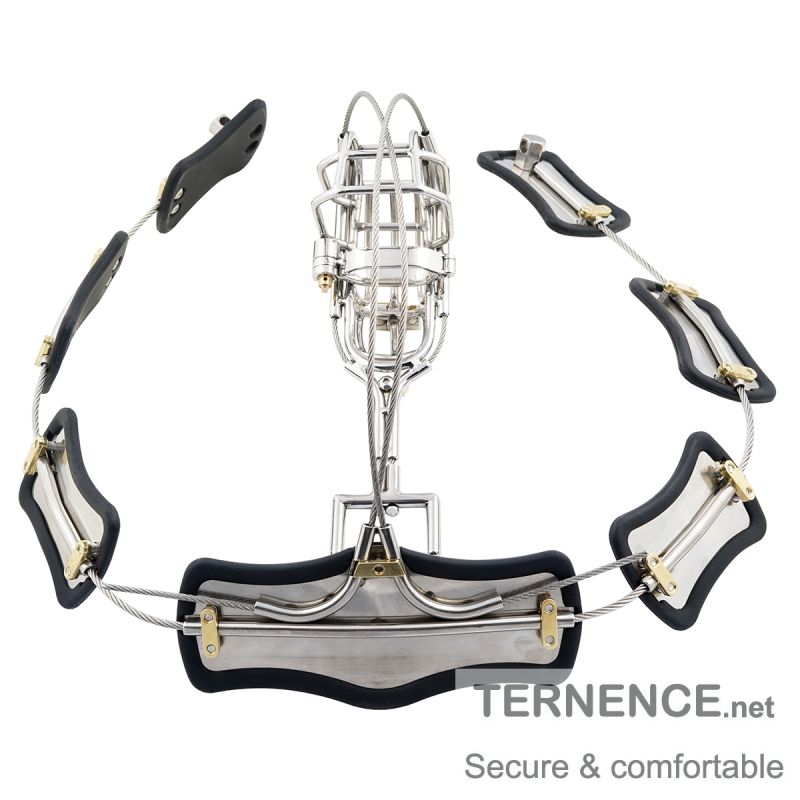 TERNENCE Metal Male Chastity Pants Device Stainless Steel Clip Cage Design Detachable Men's Virginity Lock T-type Chastity Belt with PA Puncture