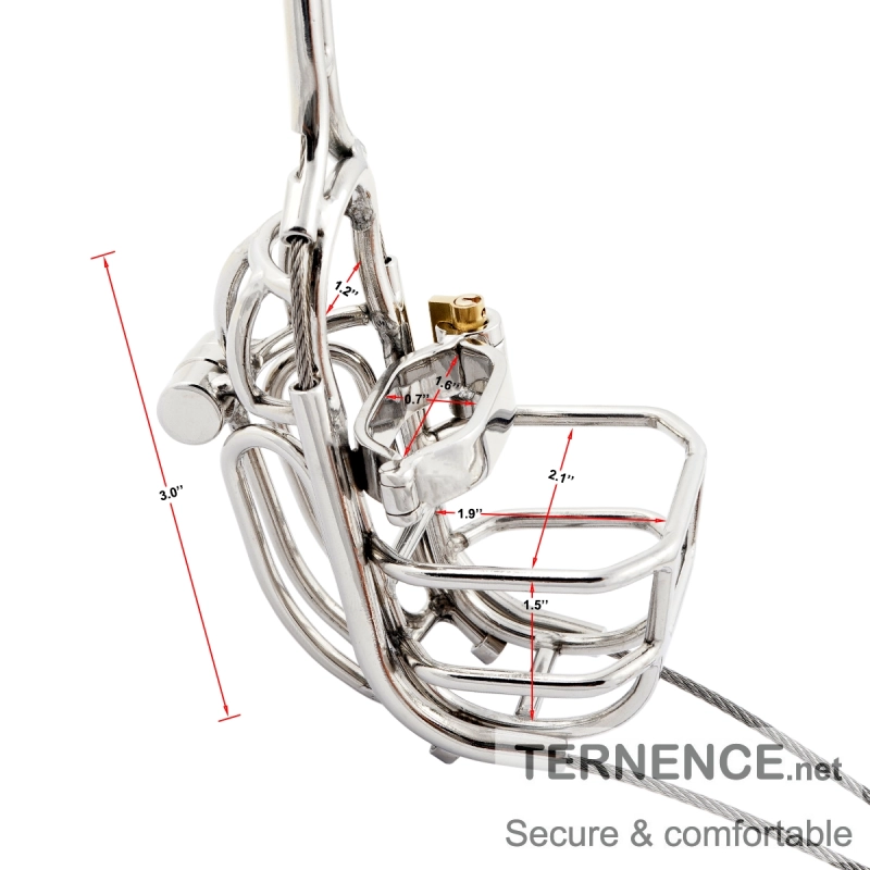 TERNENCE Metal Male Chastity Pants Stainless Steel Clip Cage Design Detachable Men's Virginity Lock T type Chastity Belt